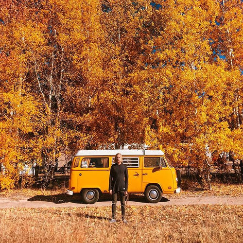 The Colors of Fall - Blog post image