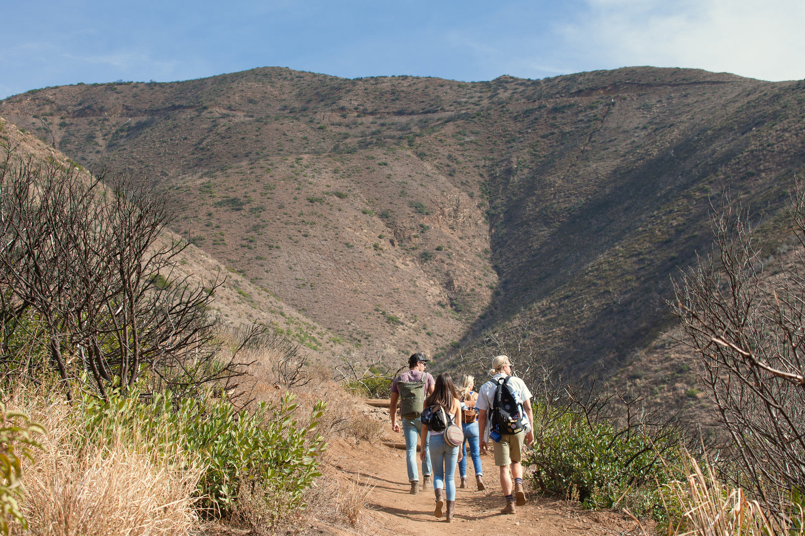 Katin Spring/Summer '16 Lookbook Video