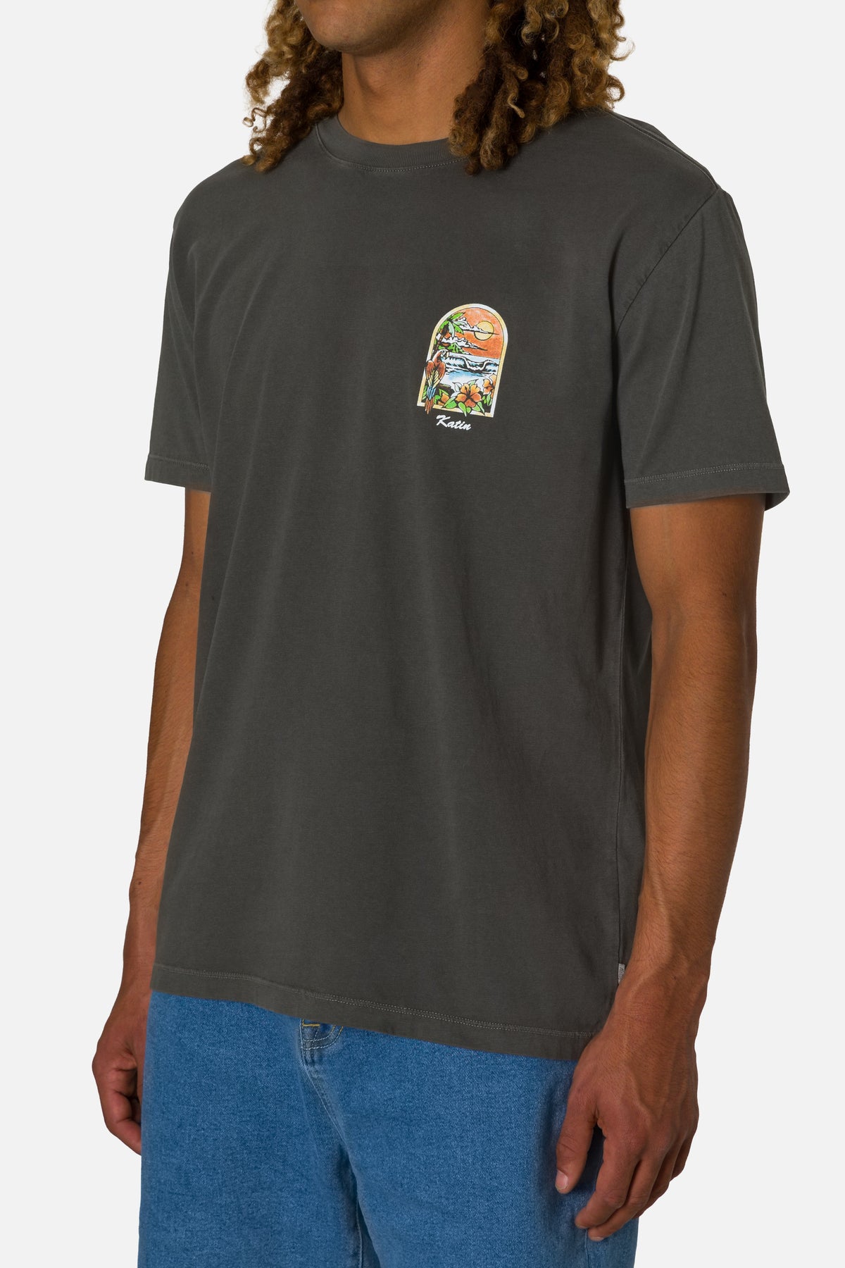 Person wearing a dark gray t-shirt with a colorful graphic on a white background