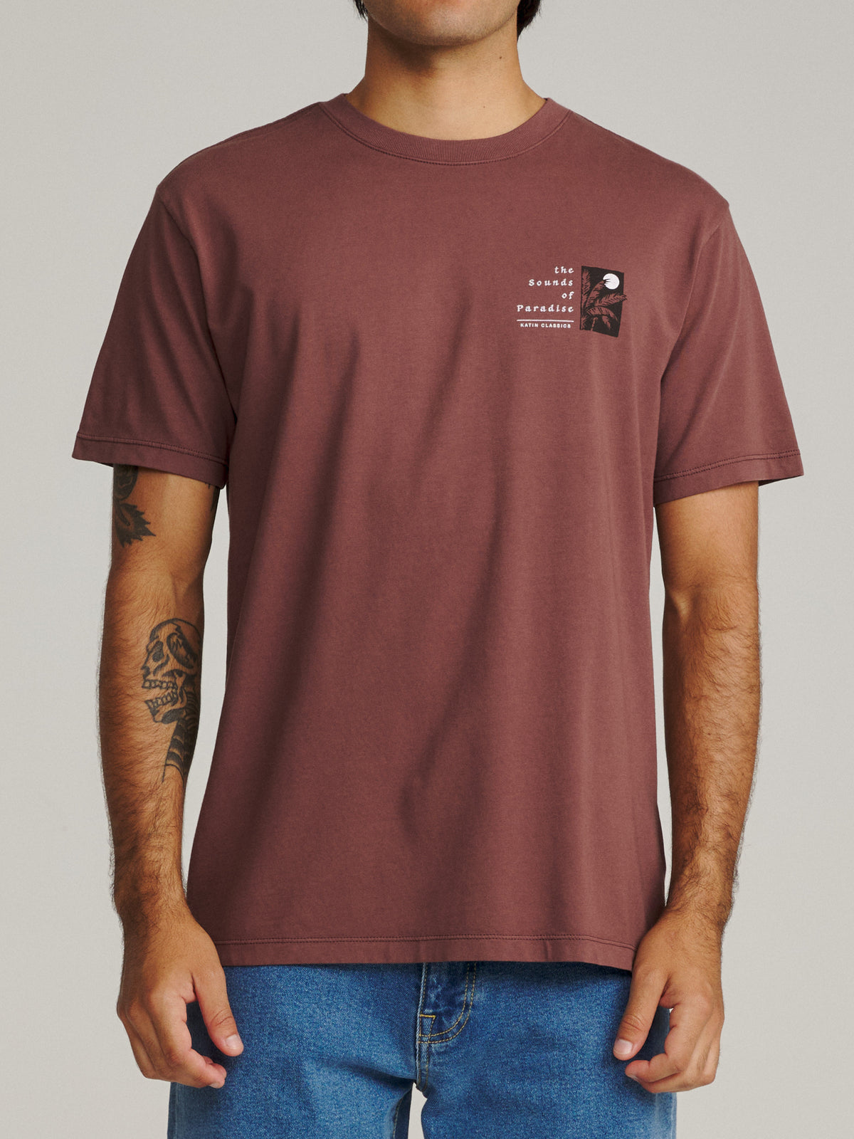 Katin Harmony Tee in French Roast Vintage Wash, on model, front #color_french roast vintage wash