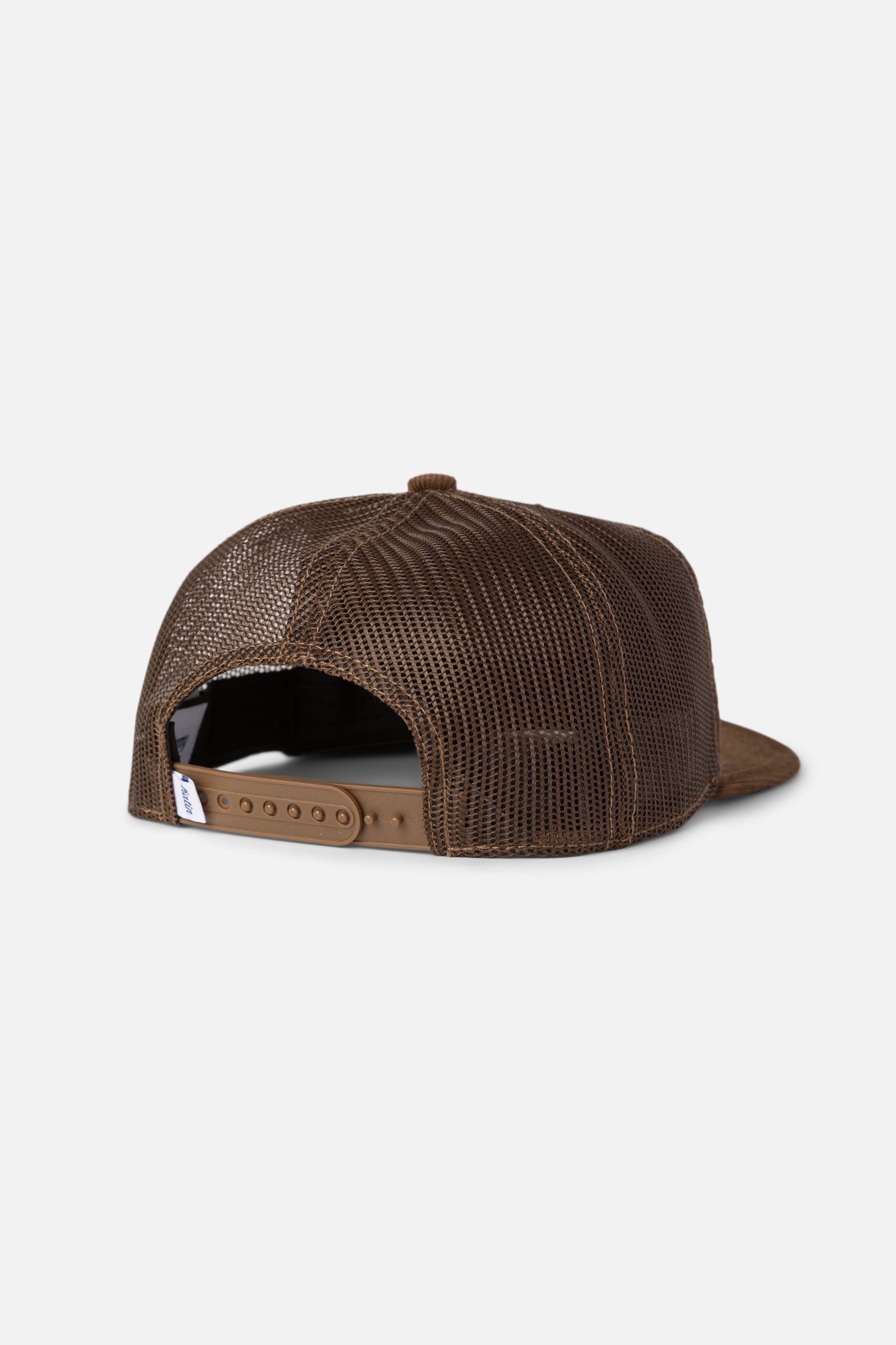 #color_brown