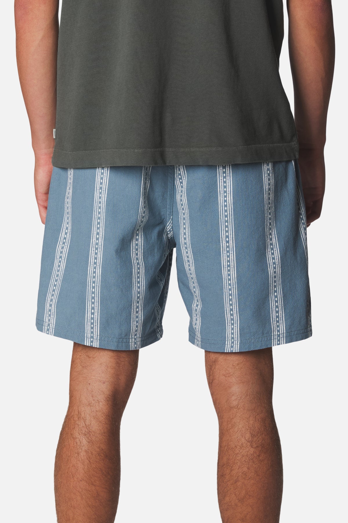 CEDAR LOCAL SHORT