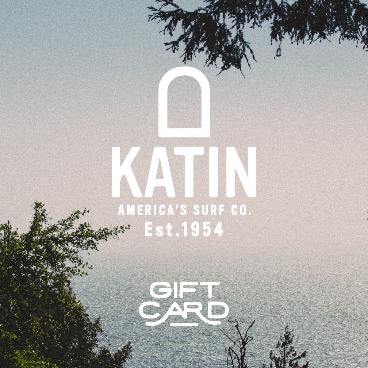 Last Minute Shopping? Snag Katin E-Gift Cards Now