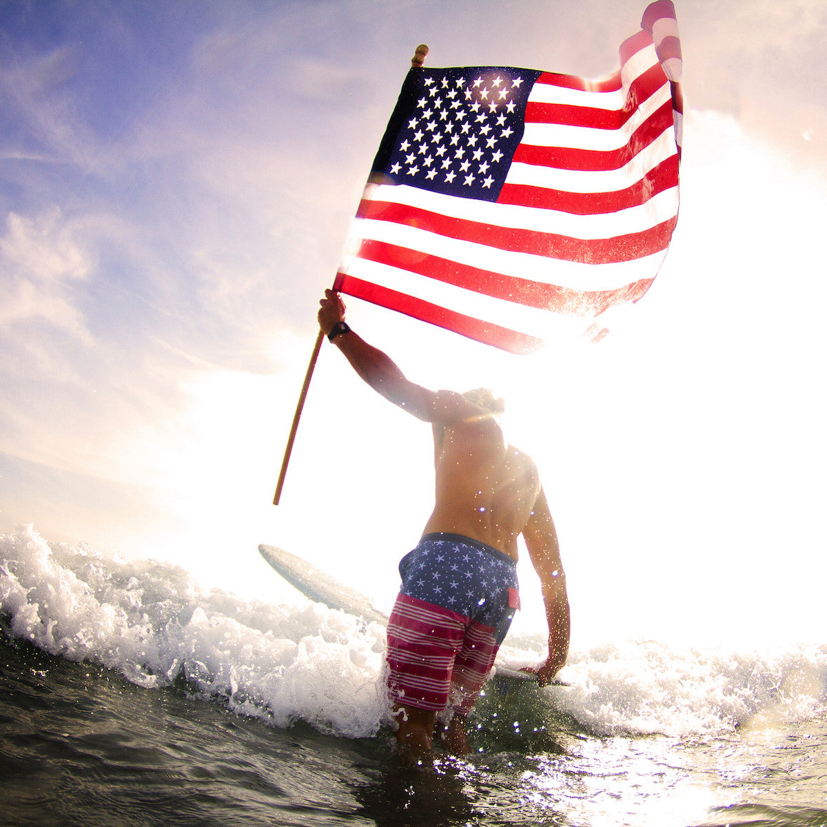 Happy Veterans Day