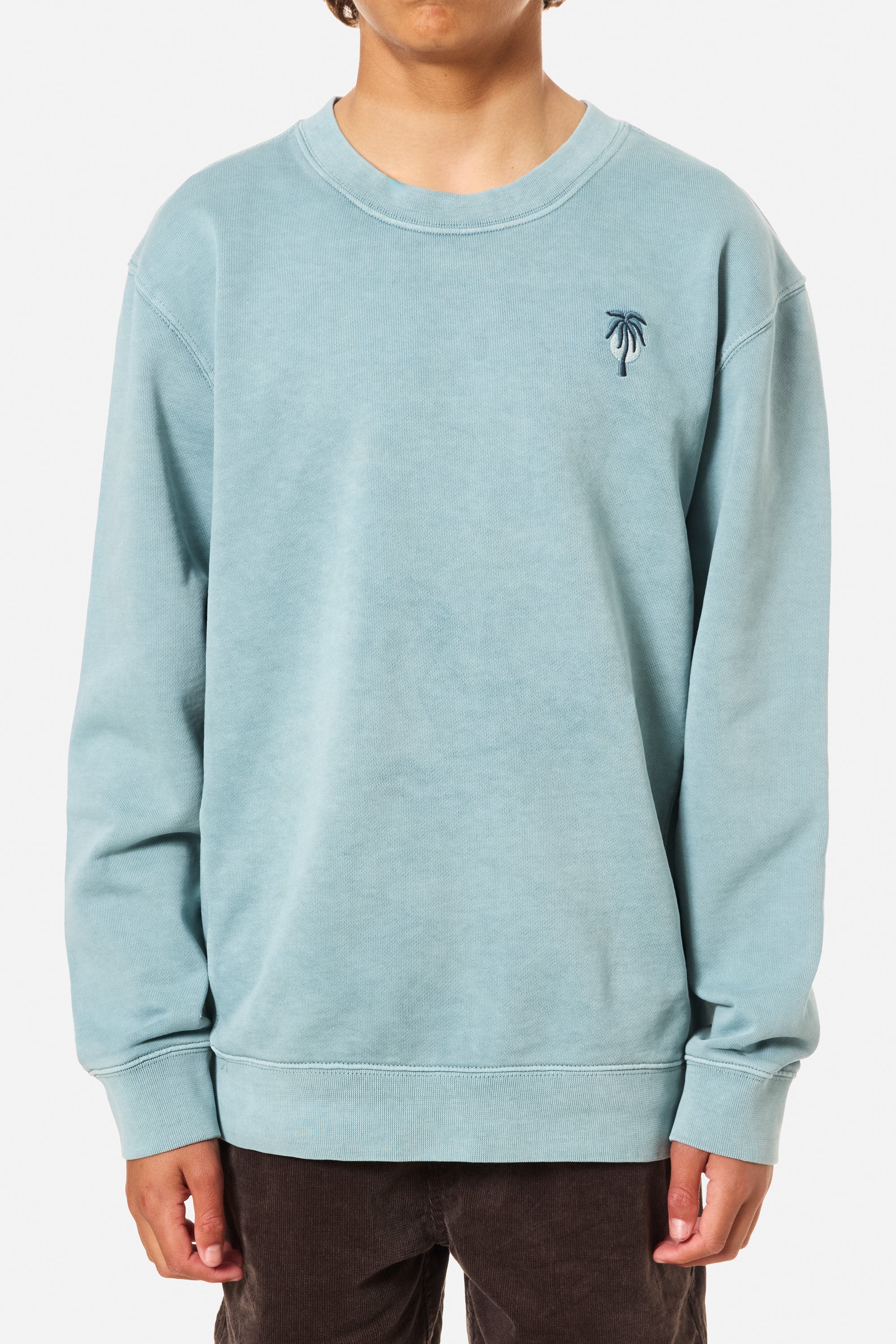 BOYS CRAWFORD EMBROIDERED CREW