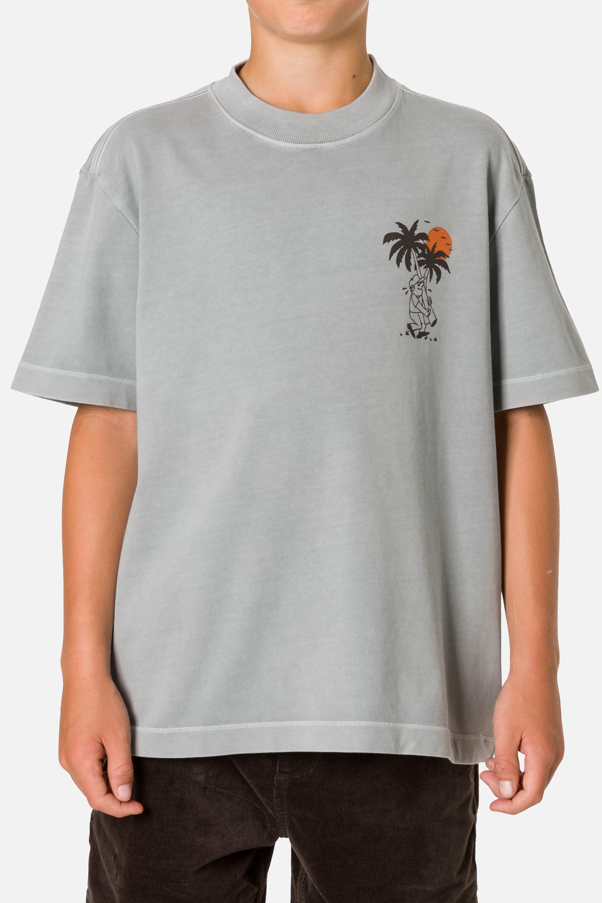 #color_neutral gray