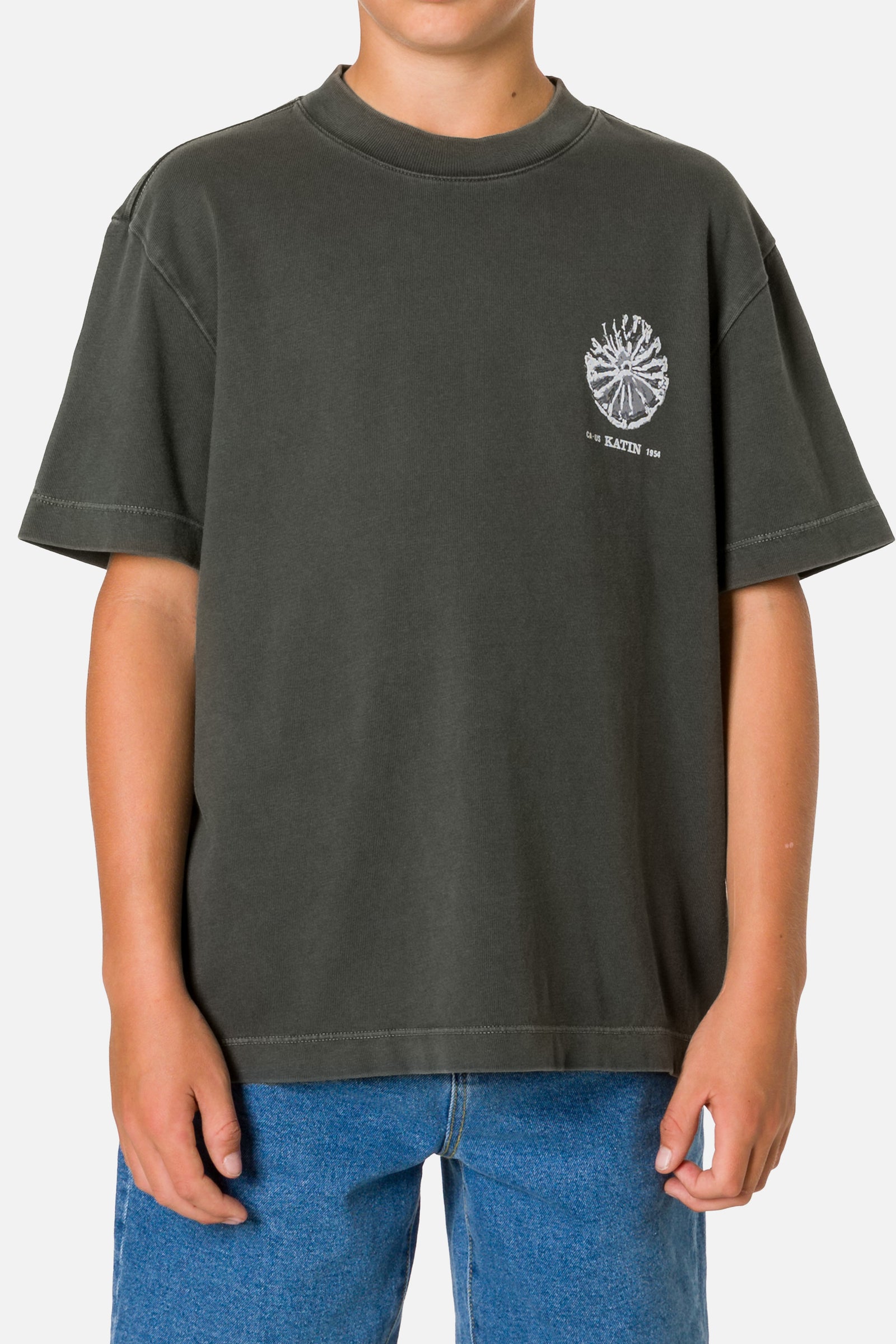 Katin boys speciman box fit tee black wash 2