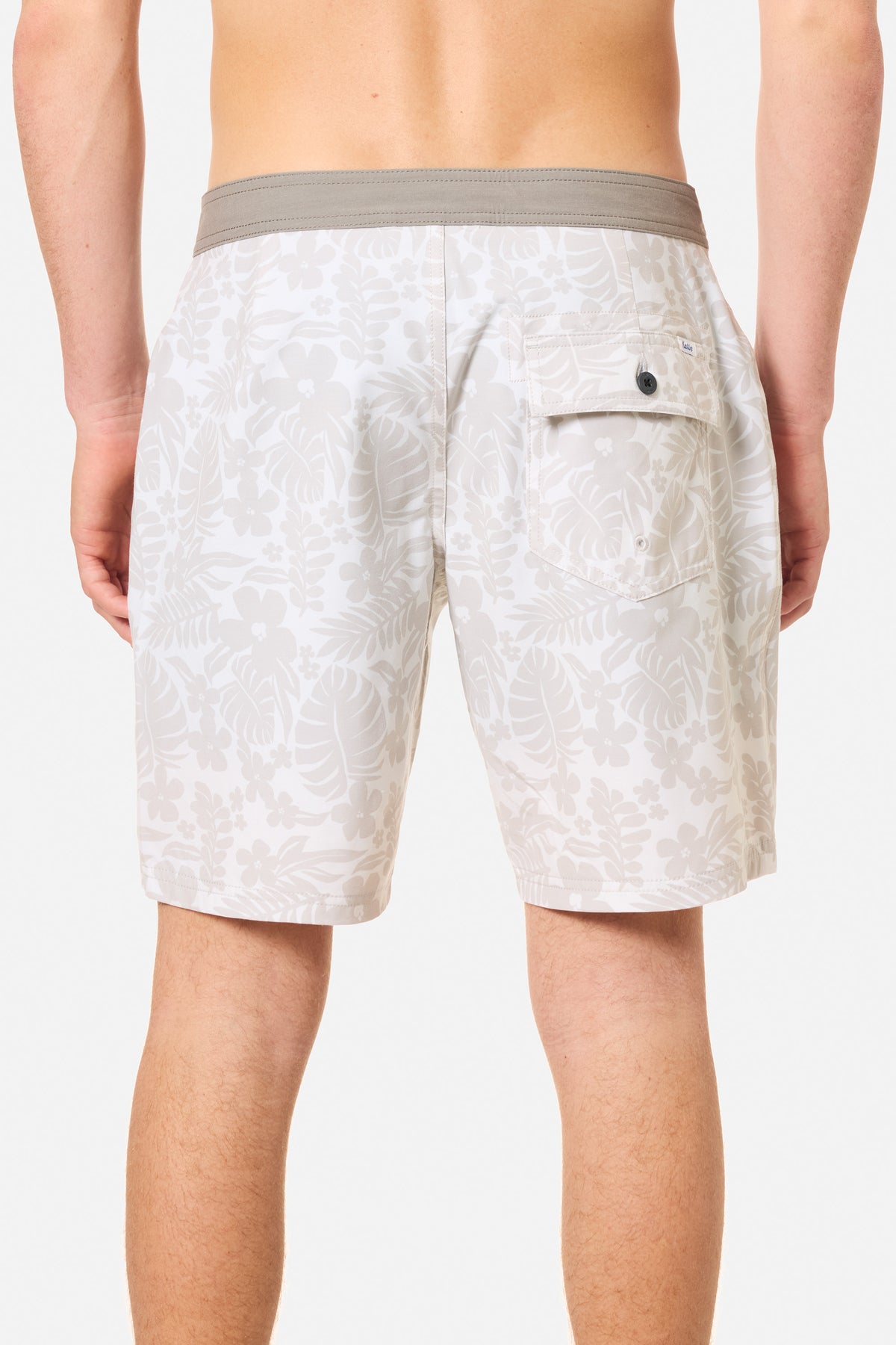DON HYBRID TRUNK