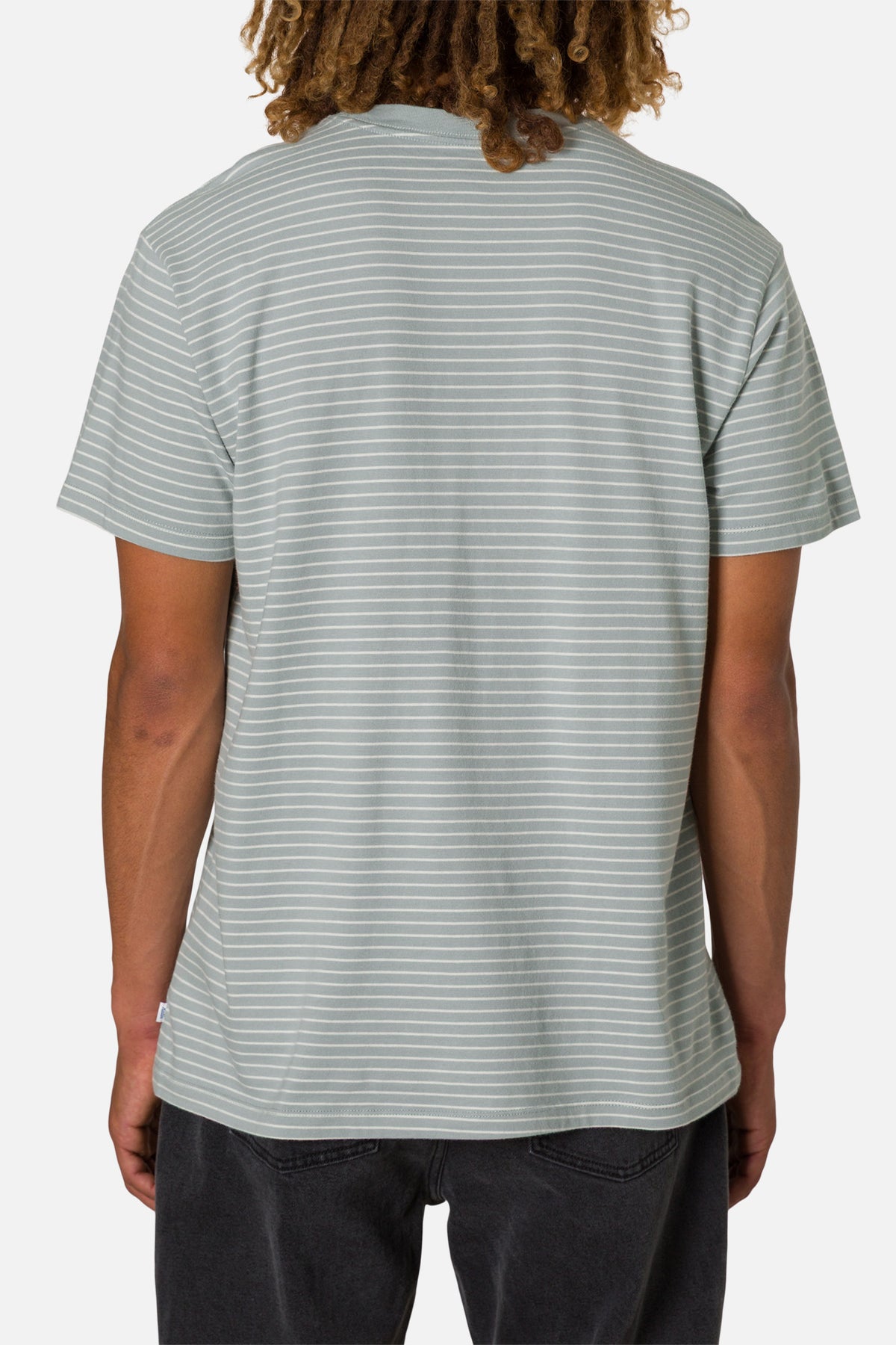 Person wearing a light gray striped t-shirt on a white background