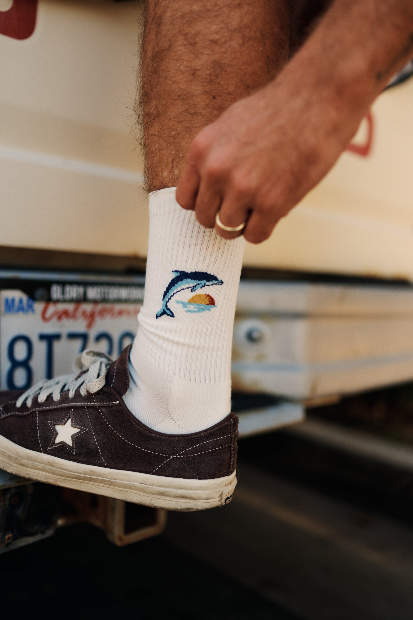 DOLPHIN SOCK