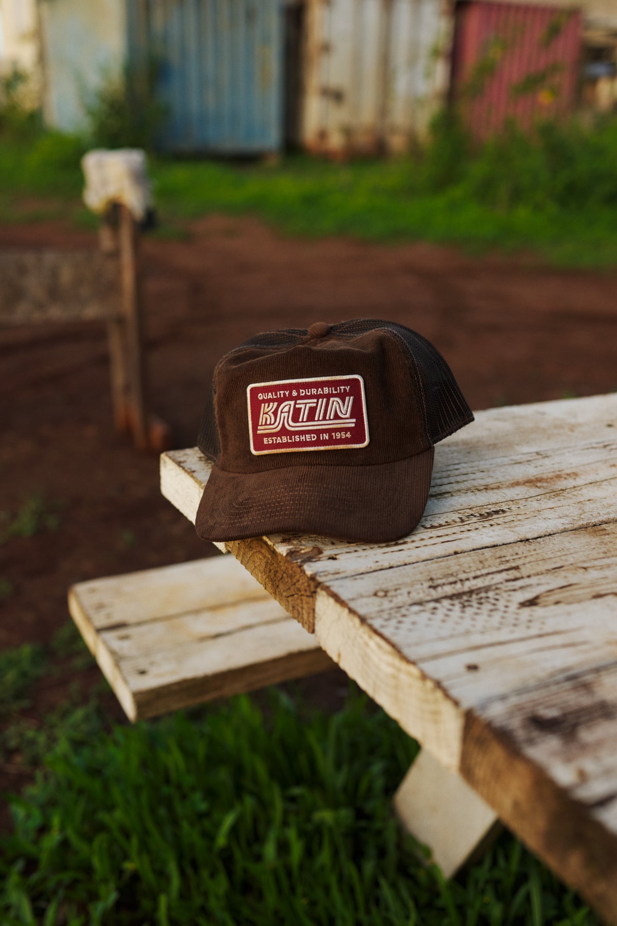 #color_brown