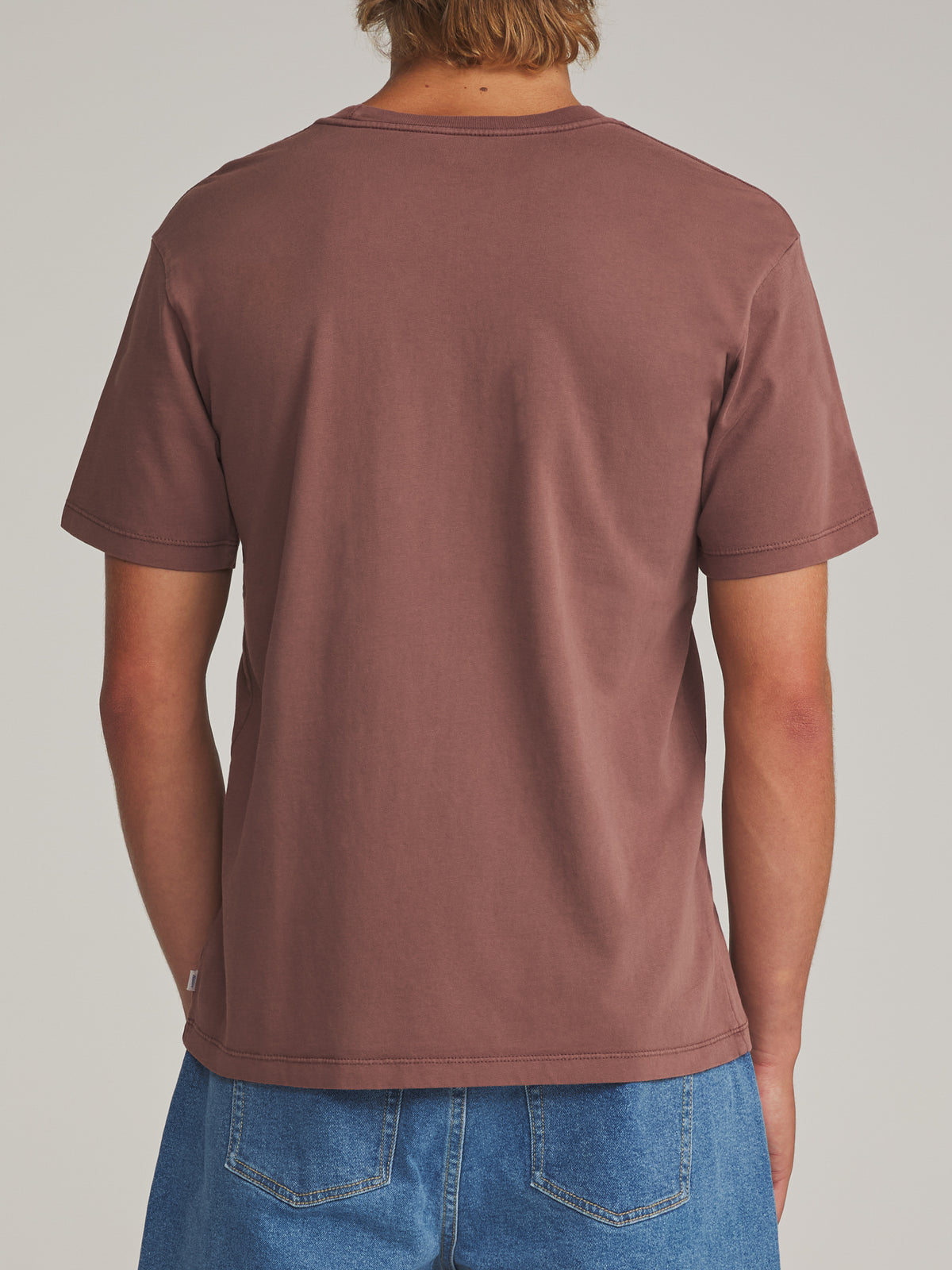 Katin Glow Tee in French Roast Vintage Wash - worn on model, back