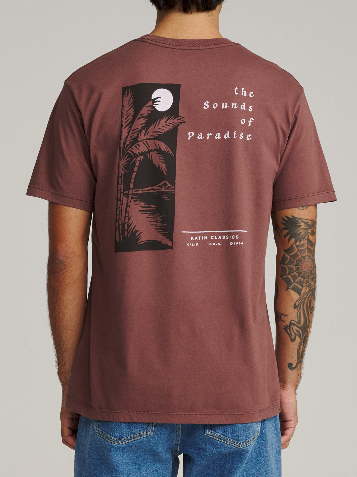 Katin Harmony Tee in French Roast Vintage Wash, on model, back #color_french roast vintage wash