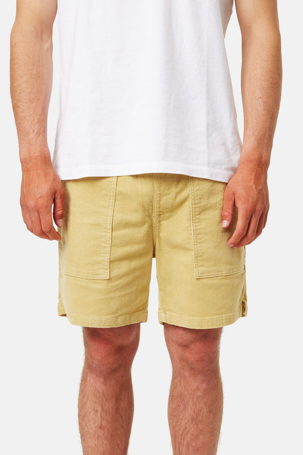 Katin corduroy shorts discount